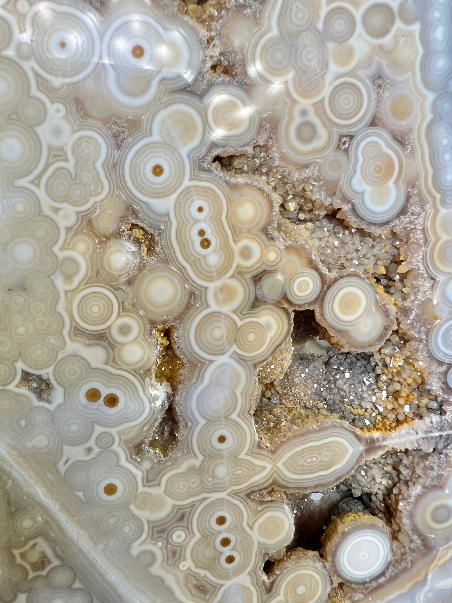 AAA yellow druzy orbicular ocean jasper slab from Madagascar