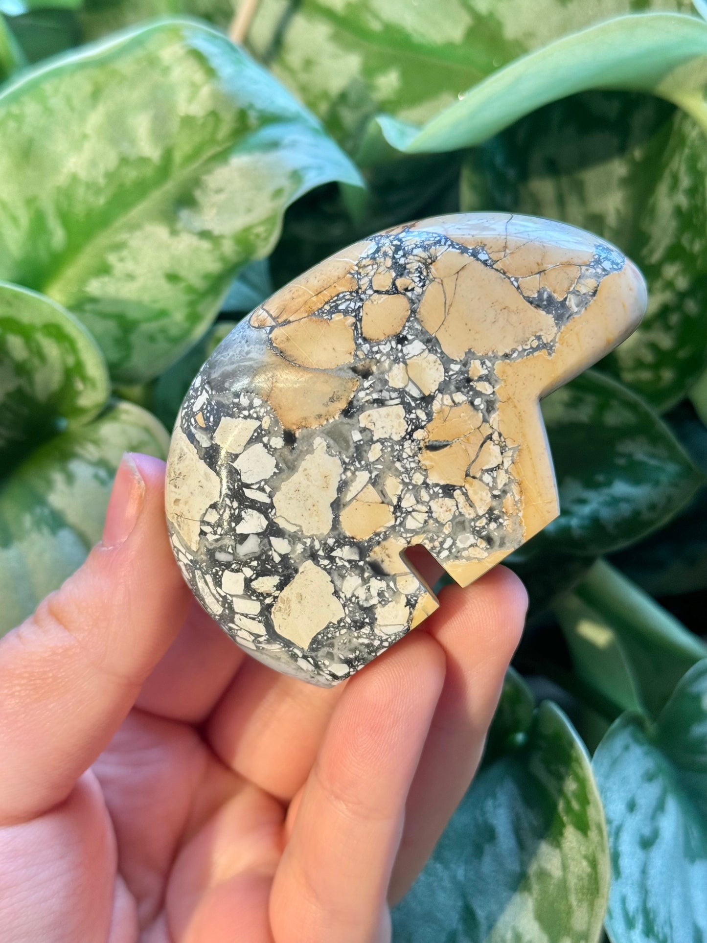 1 SM intuitive maligano jasper bear from Indonesia