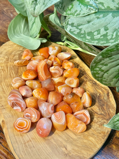 1 SM banded carnelian tumble