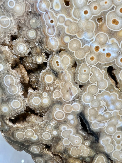 AAA yellow druzy orbicular ocean jasper slab from Madagascar