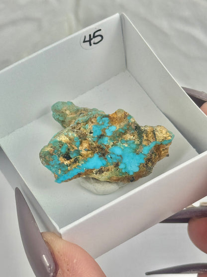 You pick! Turquoise from Arizona