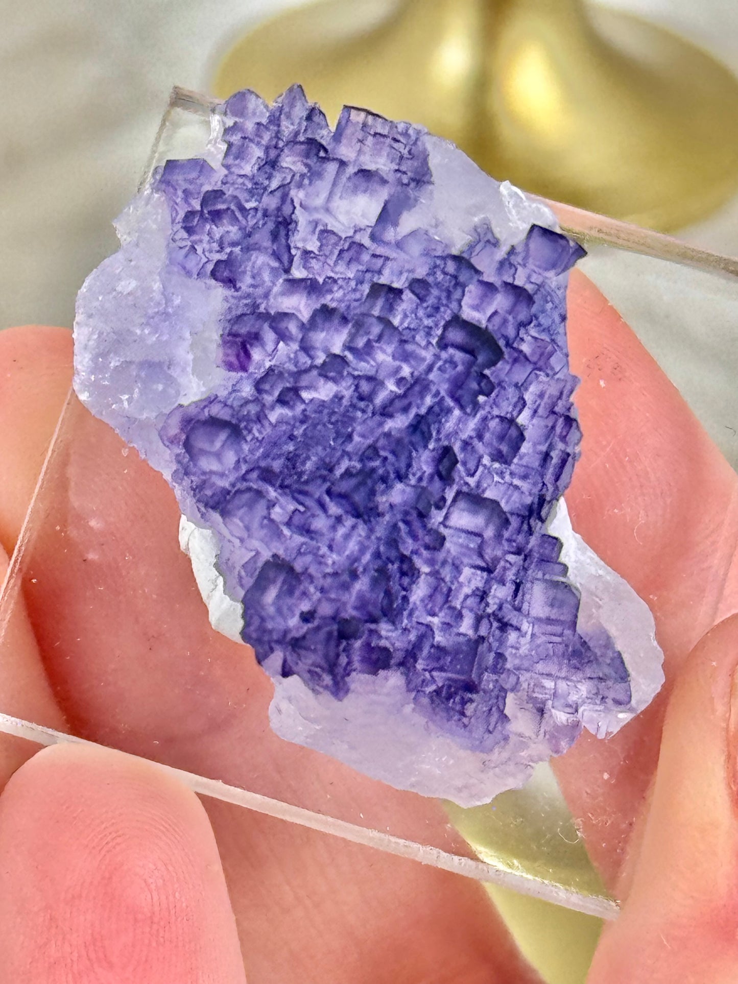 You pick! Deep purple fluorites from the Tule mine in Mexico