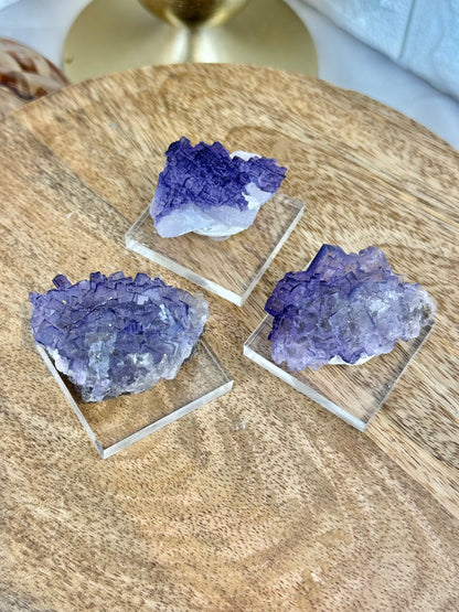 You pick! Deep purple fluorites from the Tule mine in Mexico