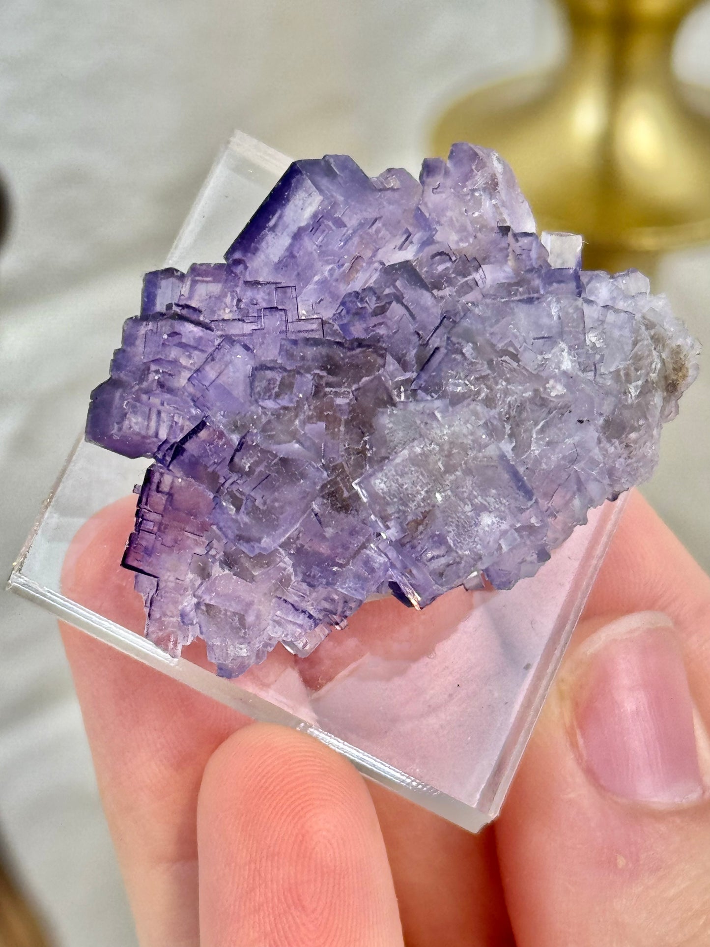 You pick! Deep purple fluorites from the Tule mine in Mexico