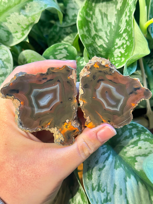 Beautiful Condor agate pair from Argentina