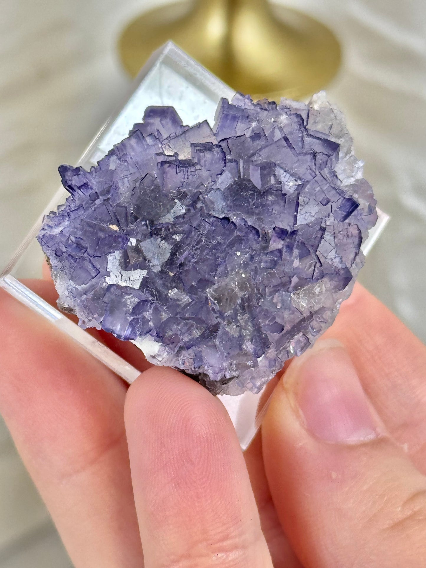 You pick! Deep purple fluorites from the Tule mine in Mexico