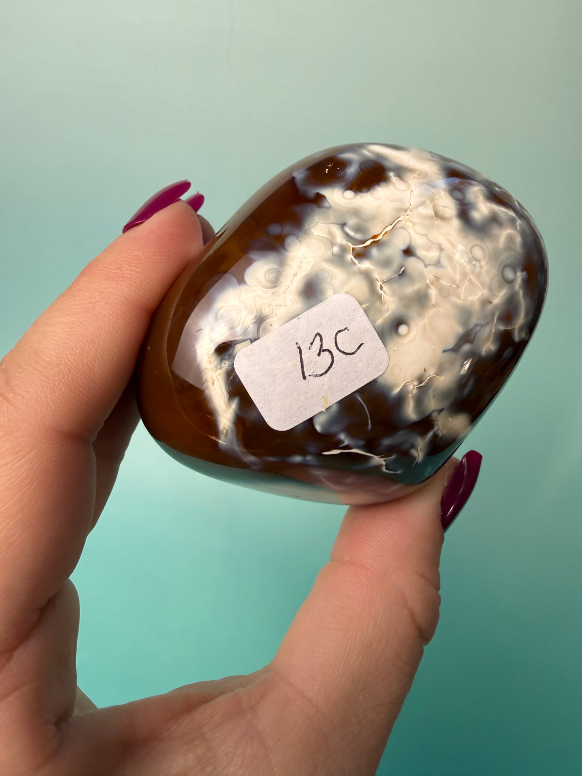 Orca X Carnelian Gallet/Palm 13C