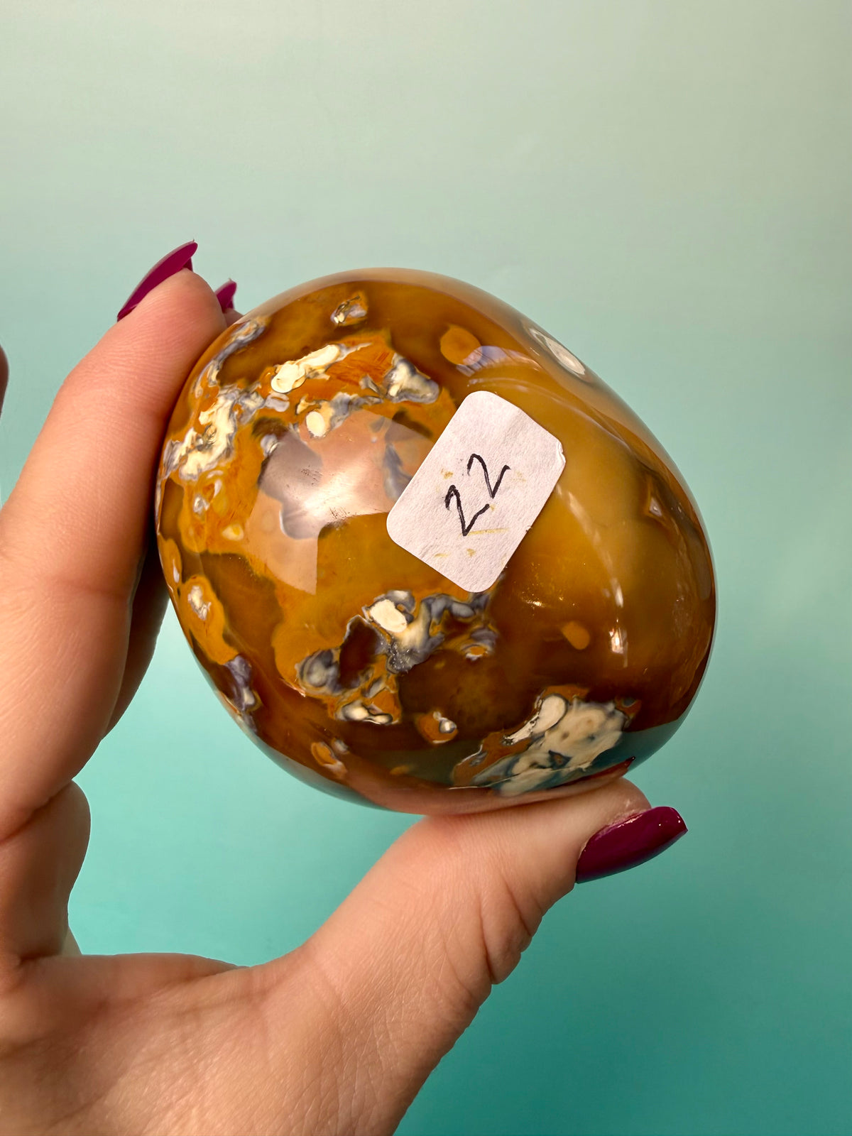 Orca X Carnelian Gallet/ Palm Stone 22