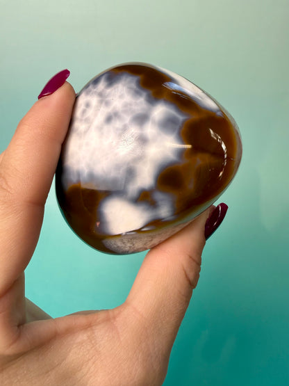 Orca X Carnelian Gallet/ Palm Stone 15C