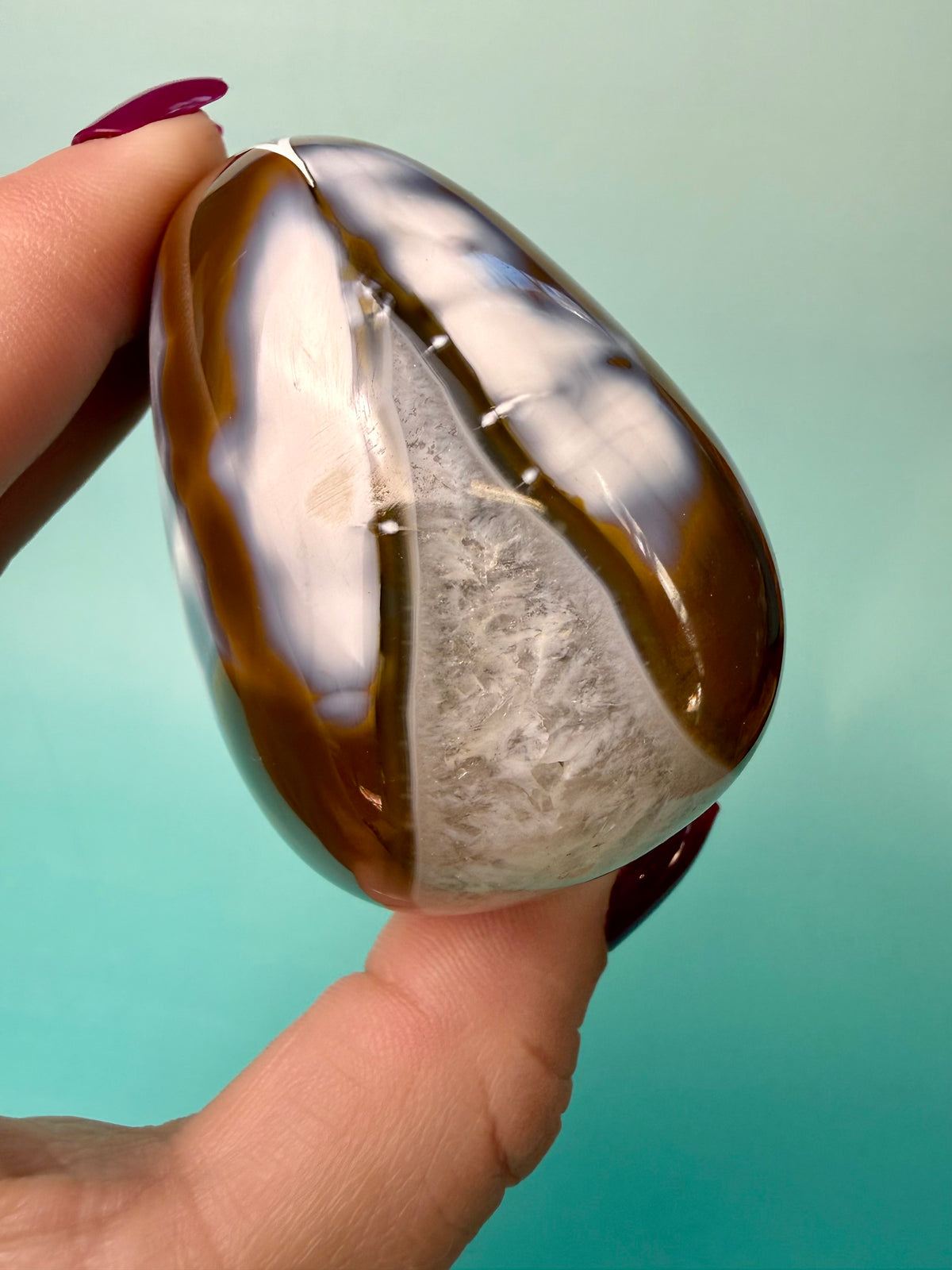 Orca X Carnelian Gallet/ Palm Stone 15C