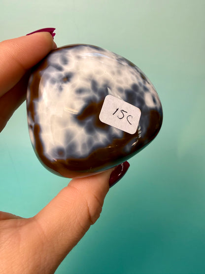 Orca X Carnelian Gallet/ Palm Stone 15C