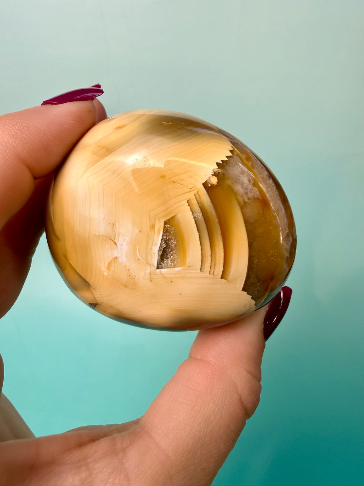 Orca X Carnelian Gallet/ Palm Stone 13B