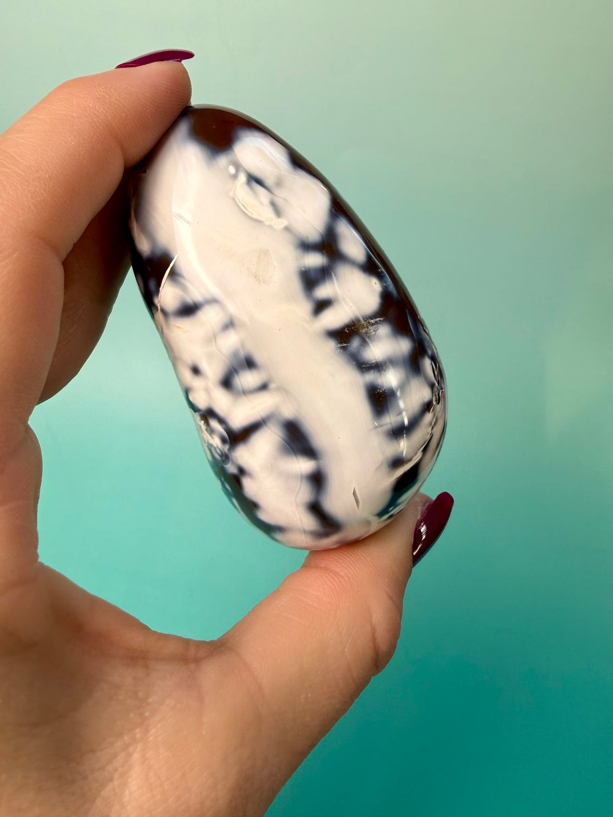 Orca X Carnelian Gallet/ Palm Stone 13E