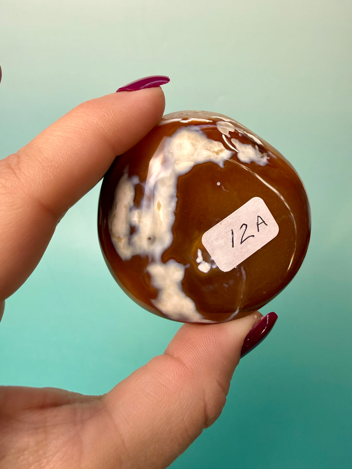 Orca X Carnelian Gallet/ Palm Stone 12A