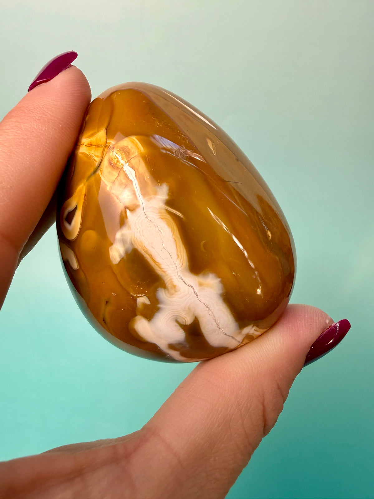 Orca X Carnelian Gallet/ Palm Stone 10A
