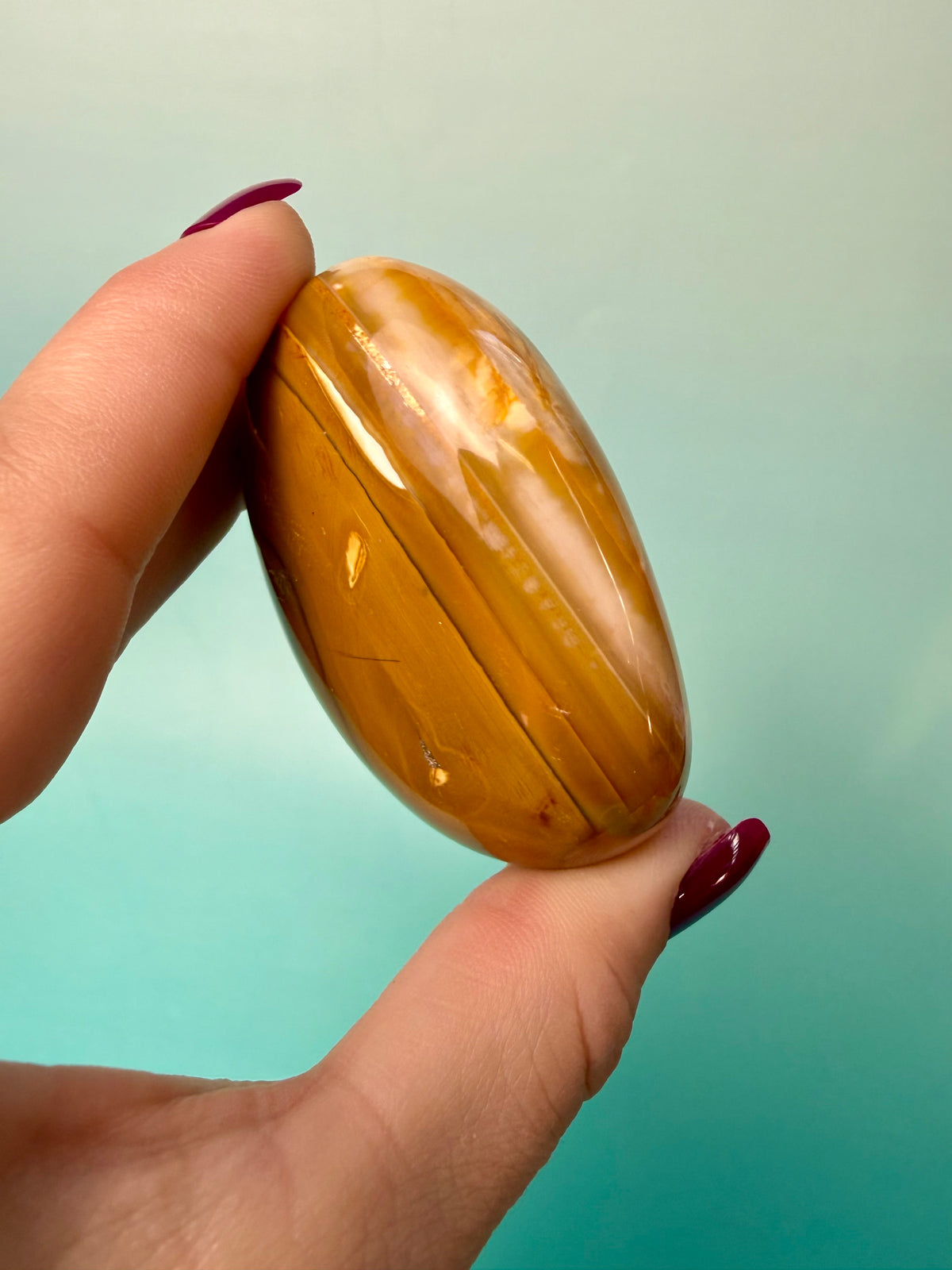 Orca X Carnelian Gallet/ Palm Stone 10A