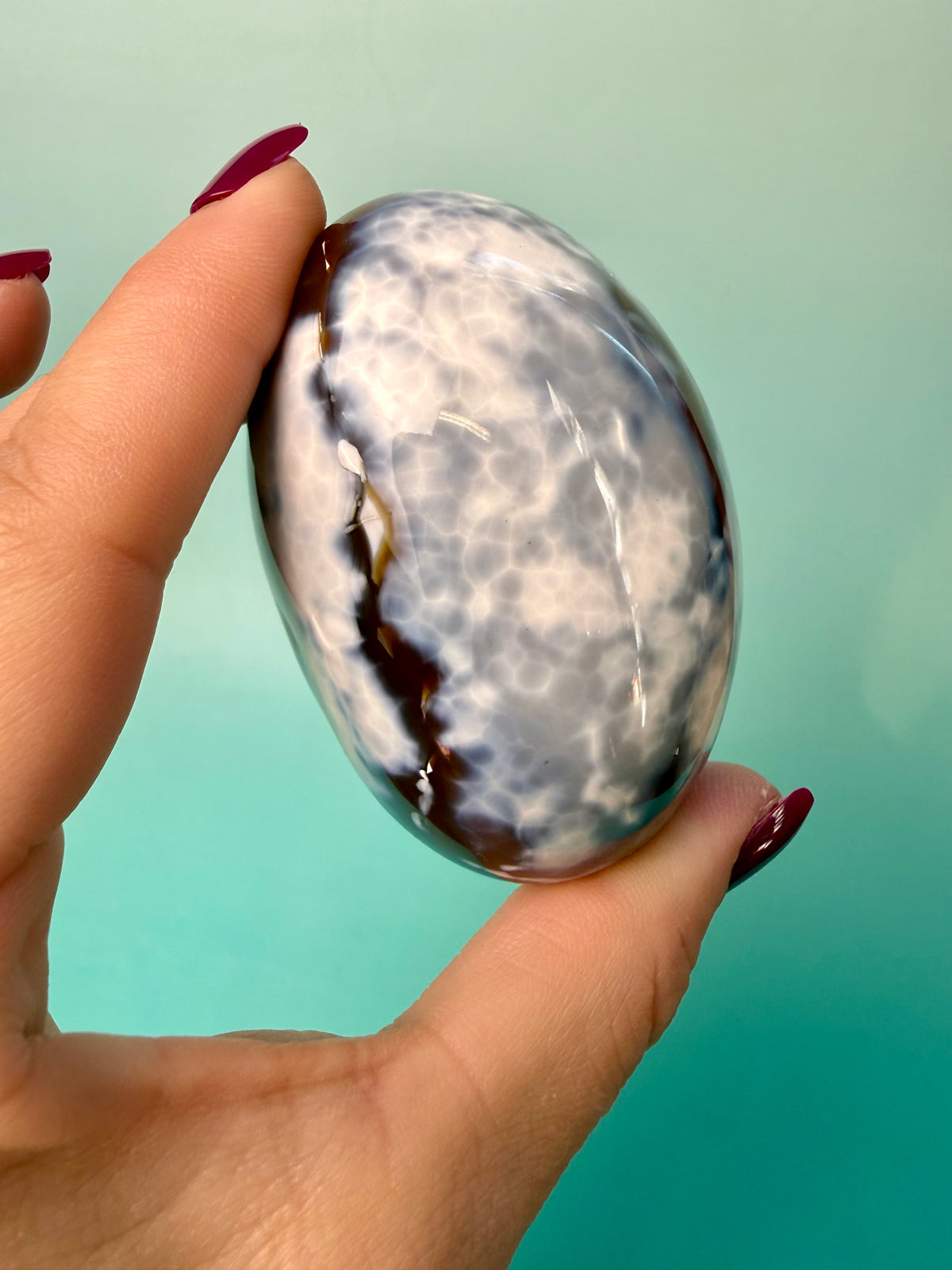 Orca X Carnelian Gallet/ Palm Stone 16B