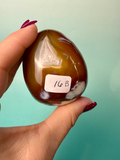 Orca X Carnelian Gallet/ Palm Stone 16B