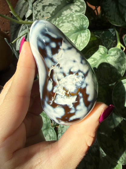 Orca X Carnelian Gallet/ Palm Stone 13E