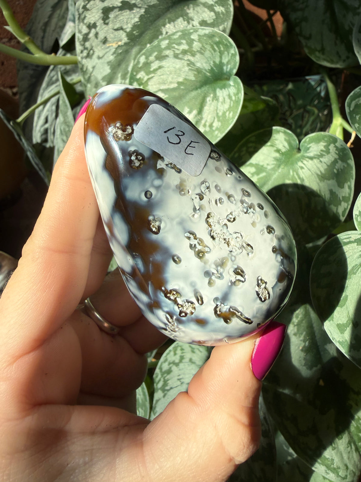 Orca X Carnelian Gallet/ Palm Stone 13E