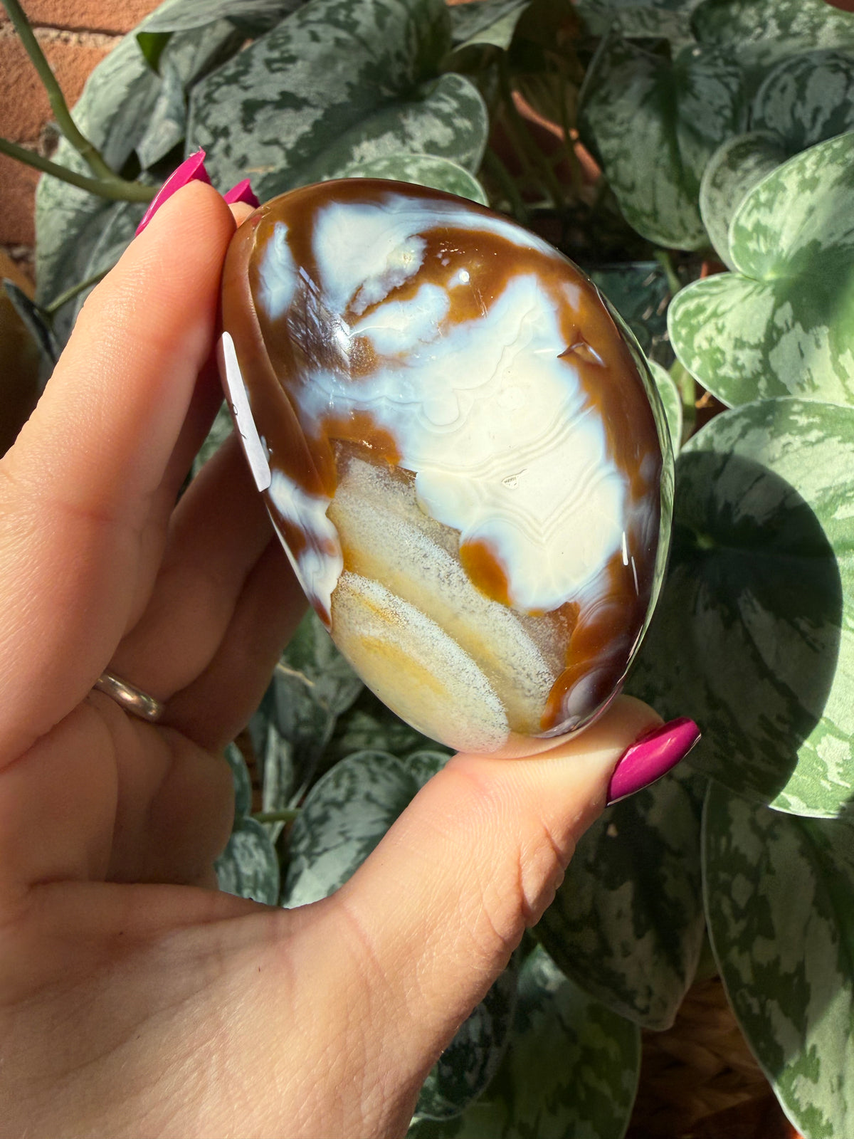 Orca X Carnelian Gallet/ Palm Stone 18