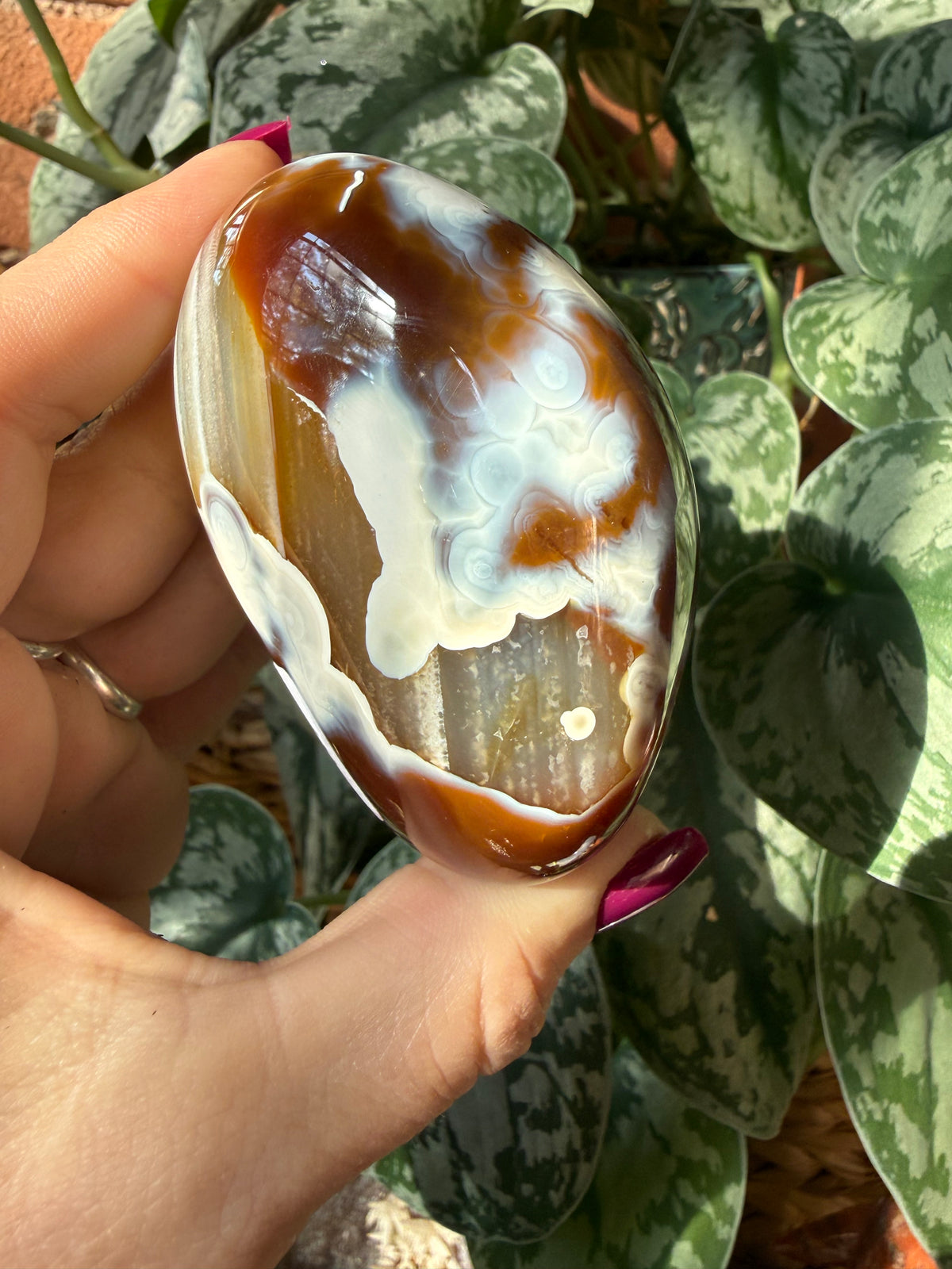 Orca X Carnelian Gallet/ Palm Stone 18