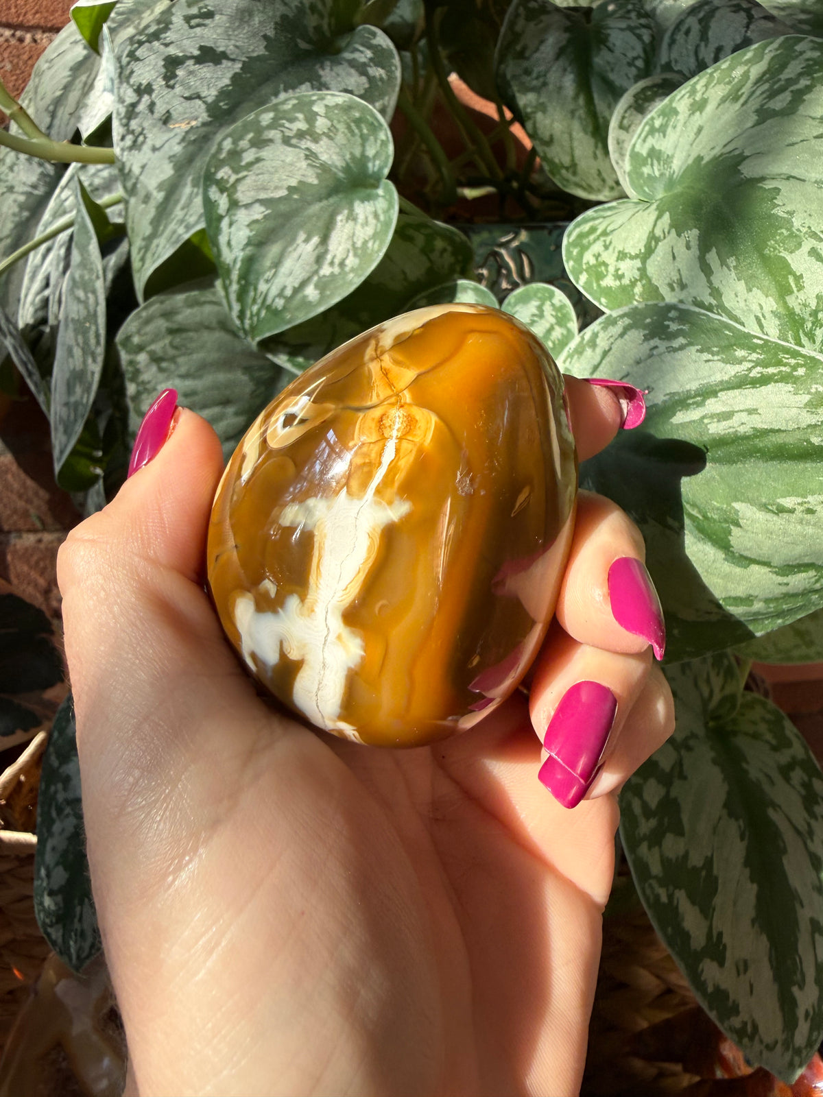 Orca X Carnelian Gallet/ Palm Stone 10A