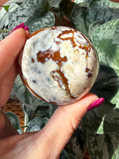 Orca X Carnelian Gallet/ Palm Stone 12A