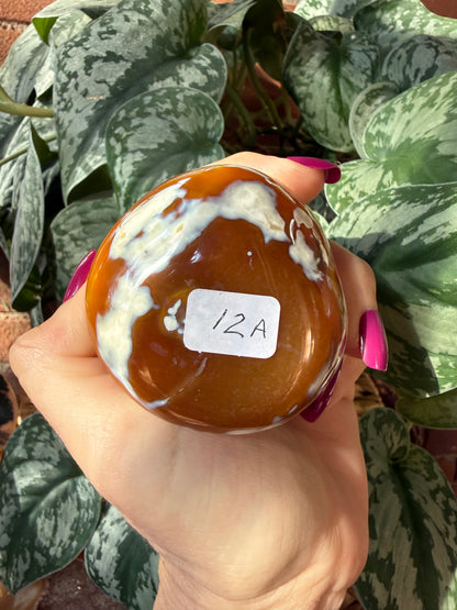 Orca X Carnelian Gallet/ Palm Stone 12A