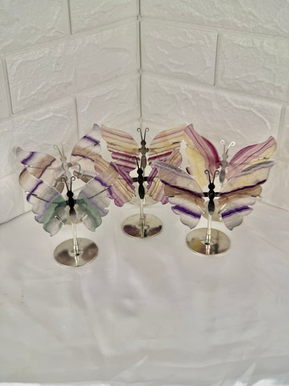 1 intuitive fluorite butterfly on silver stand