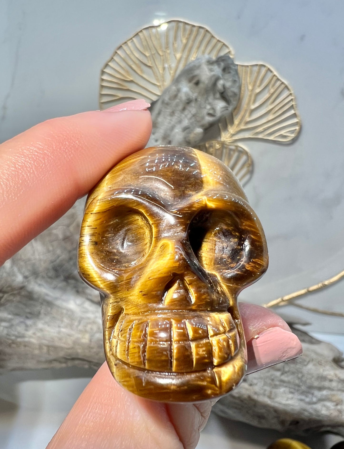 1 flashy tigers eye skull