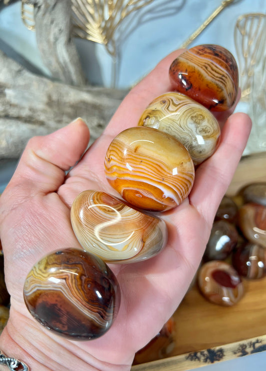 Gorgeous banded sardonyx tumble/palm MED