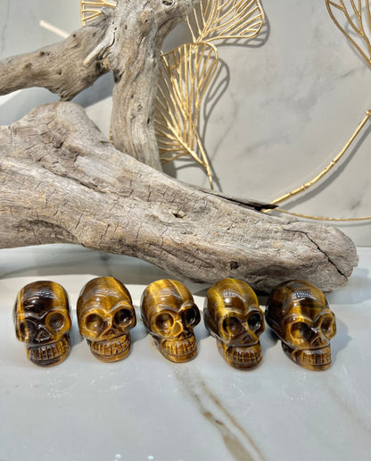 1 flashy tigers eye skull