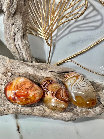 Stunning banded sardonyx tumble/palm LG