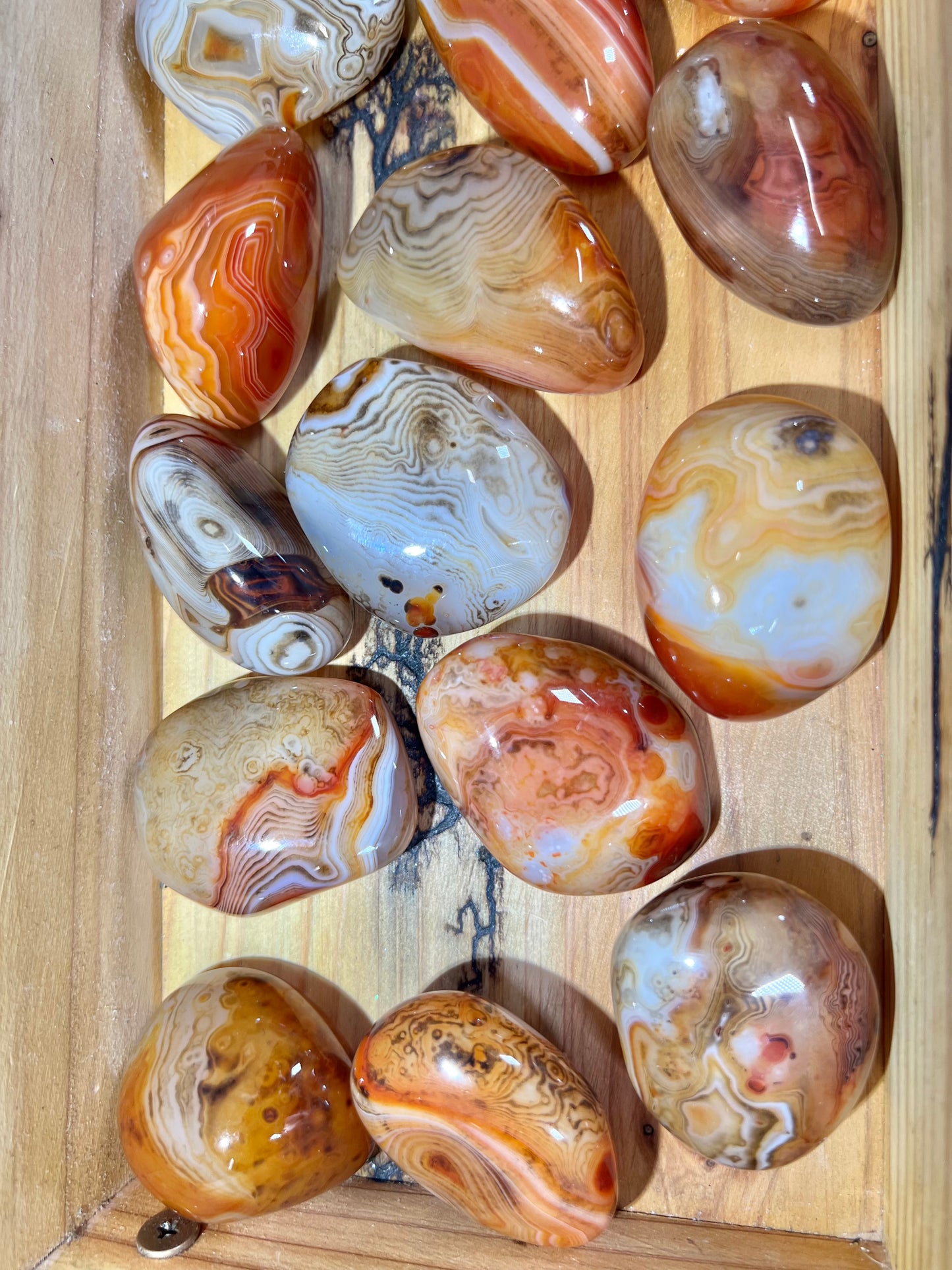 Stunning banded sardonyx tumble/palm LG