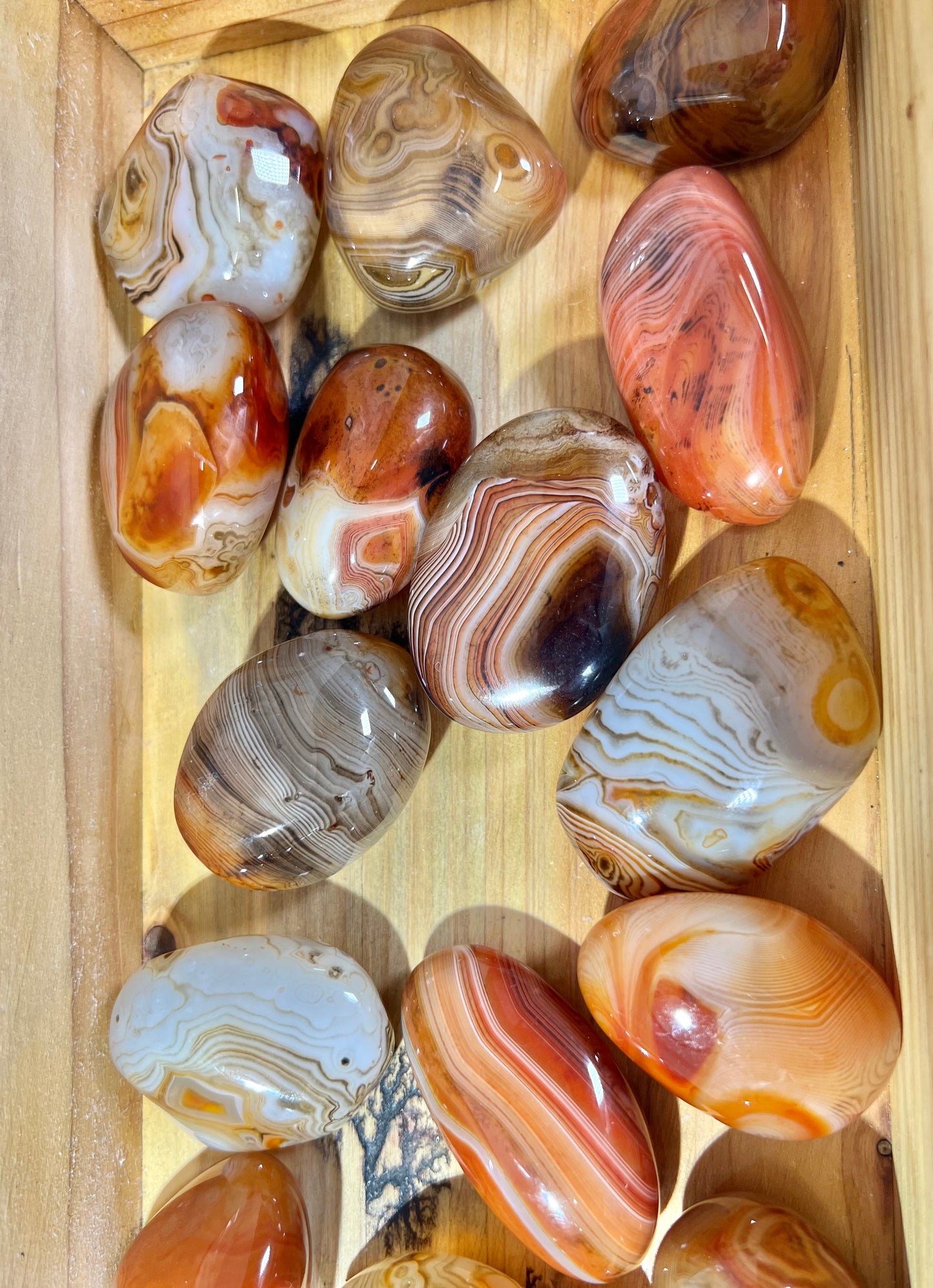 Stunning banded sardonyx tumble/palm LG