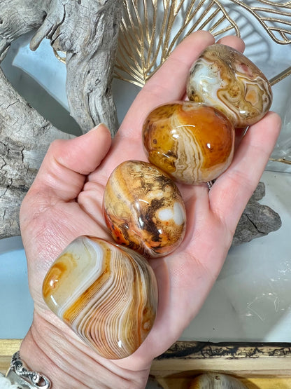 Stunning banded sardonyx tumble/palm LG