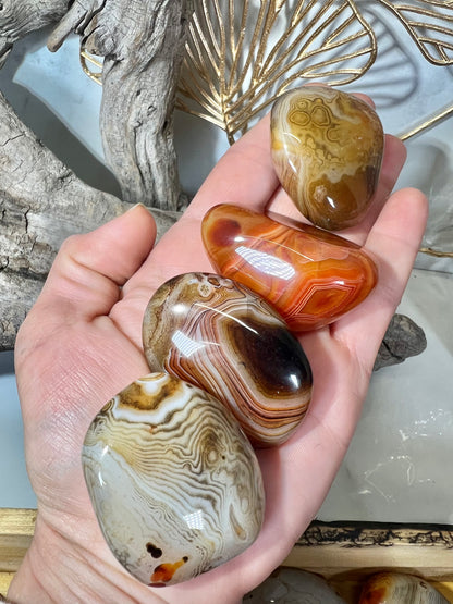 Stunning banded sardonyx tumble/palm LG