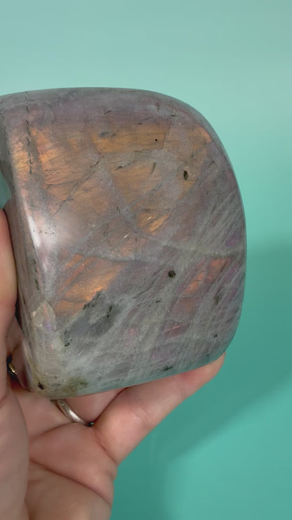 Sunset flash labradorite Freeform D