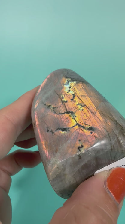 Orange sunset flash labradorite Freeform R