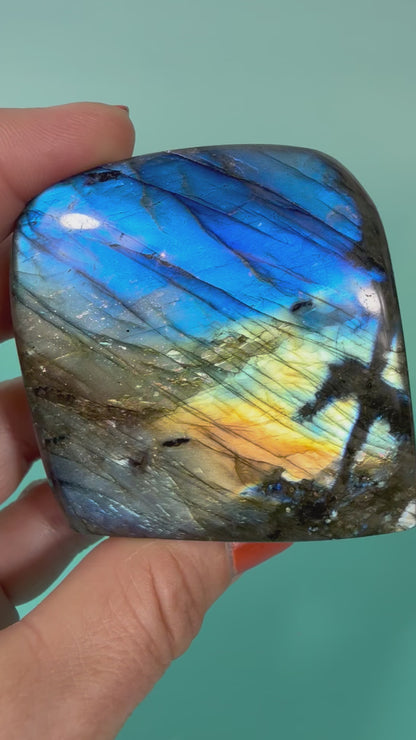 Electric blue labradorite Freeform W
