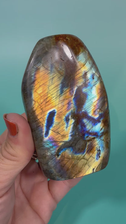 Rainbow flash labradorite Freeform N