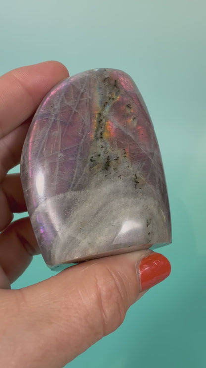 Hot pink flash labradorite Freeform T