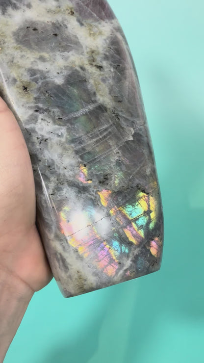 Incredible “unicorn” flash labradorite Freeform B